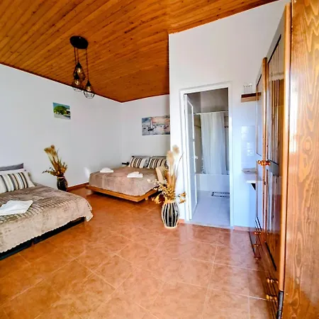 Pefkos Sea Shell